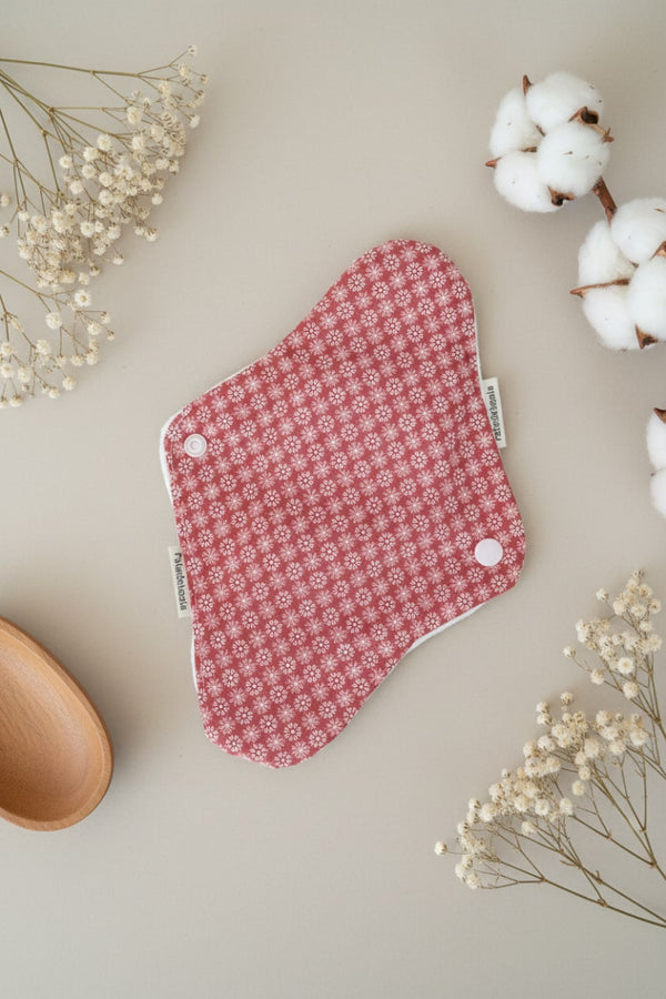 Compresa creada en Málaga